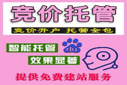 优化师分享：SEM竞价托管案例技巧